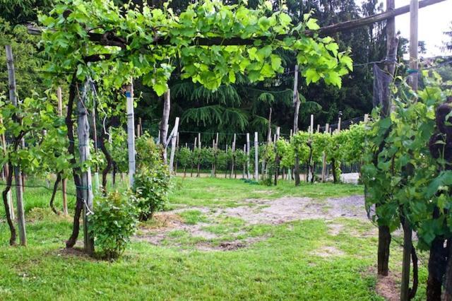 Hotel Le Perine 6 Valdobbiadene Zewnętrze zdjęcie